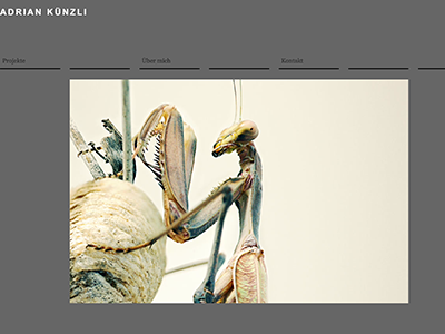 Adrian Künzli Desktop Ansicht