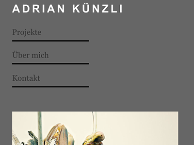 Adrian Künzli Smartphone Ansicht
