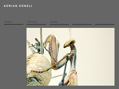 Adrian Künzli Mobile Ansicht